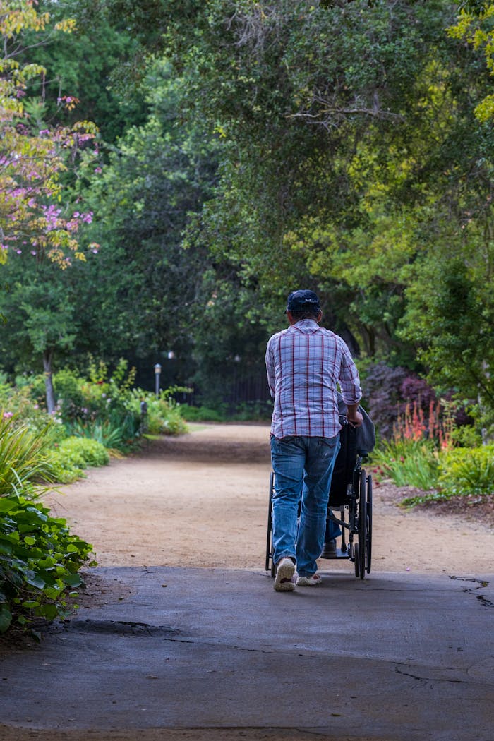 about-01 Back view of a man pushing a wheelchair along a tree-lined path on a sunny day.